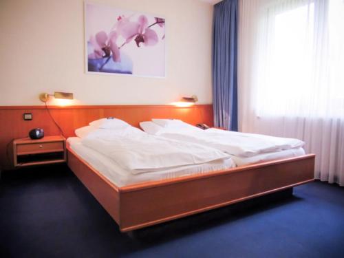 Hotel Zur Flora - image 12