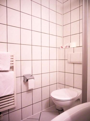 Hotel Zur Flora - image 11