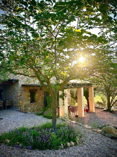 casa mushin in Les Useres