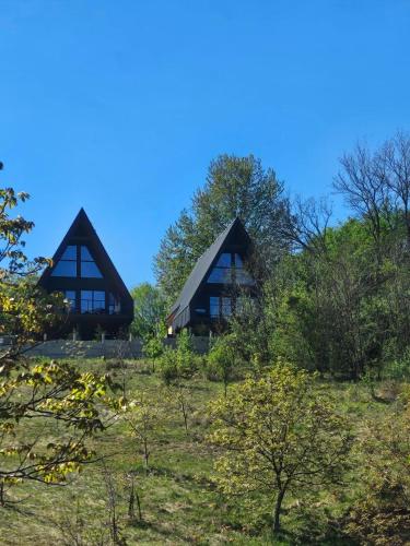 Meziad-Panorama in Remetea
