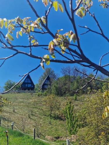 Meziad-Panorama in Remetea
