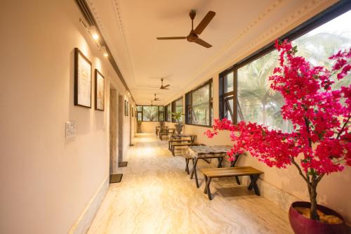 Nautical 9 Beach Retreat photo 5
