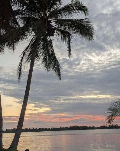 Club Fred in Punta Mala