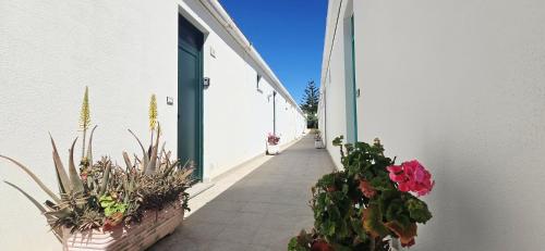 Sa Domighedda Cala del Porto