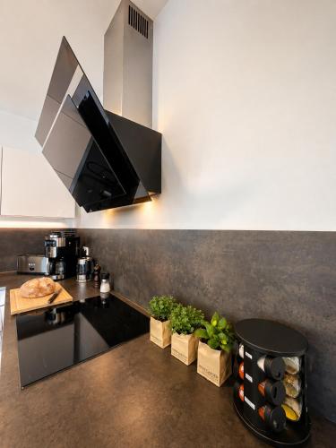 Penthouse K11 - The Stay Bodensee in Tettnang