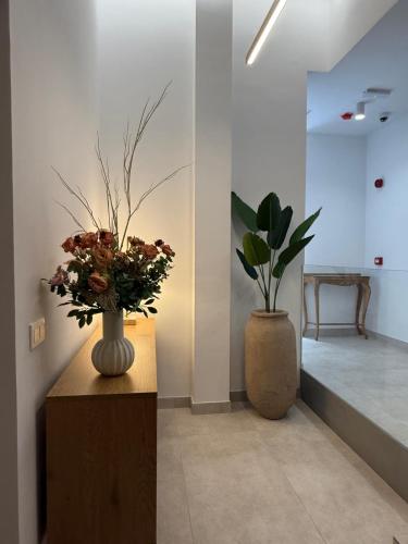 Plaza 5 Rooms Vistalegre - image 6