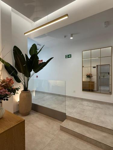 Plaza 5 Rooms Vistalegre - image 12