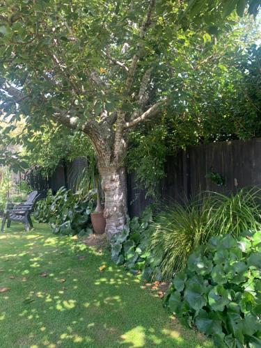 Kilátás, Private Retreat in Cambridge