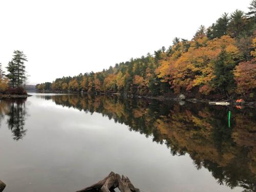 Shimmering Cove Retreat - image 14