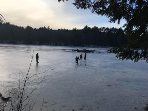 Shimmering Cove Retreat - image 11