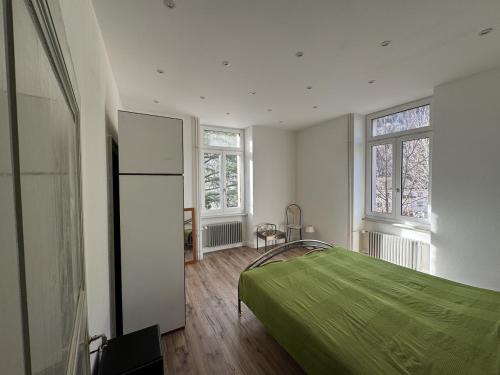 Apartment in Historic Villa in Faido