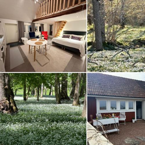 Kinnekulle bed & breakfast