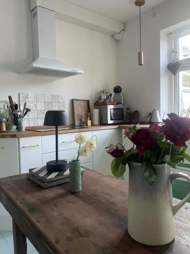 Townhouse appartment with two cuddly cats in the center of Elsingore close to beach and Hamlets cast in Helsingor