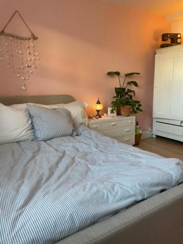 Townhouse appartment with two cuddly cats in the center of Elsingore close to beach and Hamlets cast in Helsingor