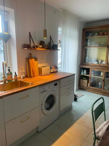 Townhouse appartment with two cuddly cats in the center of Elsingore close to beach and Hamlets cast in Helsingor