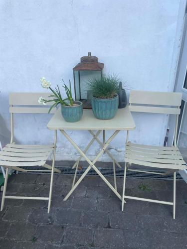 Townhouse appartment with two cuddly cats in the center of Elsingore close to beach and Hamlets cast in Helsingor