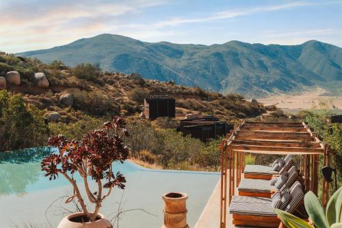 Encuentro Guadalupe