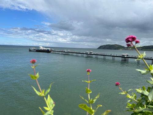 The Westbourne Guest House - image 10