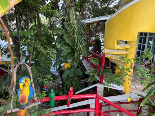 Maison Tulum, Tulum (foto 9)