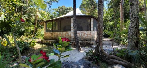 Hotel La Luz Akumal in Akumal