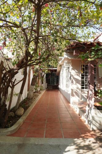 Casa Bacocho - San Pedro Mixtepec Distrito 22