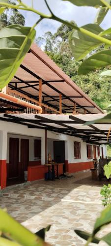 La TOLVA Café & experiencia