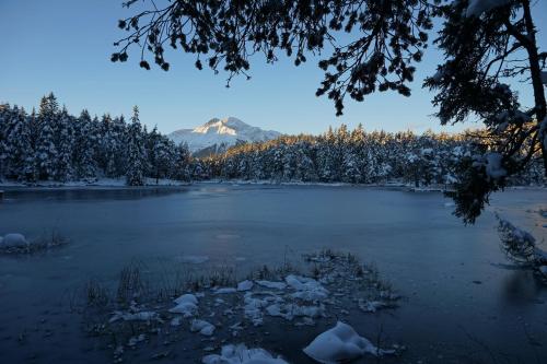 Hotel Pension Tyrol - image 14