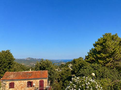 Appartement T2 Village Oletta in Oletta