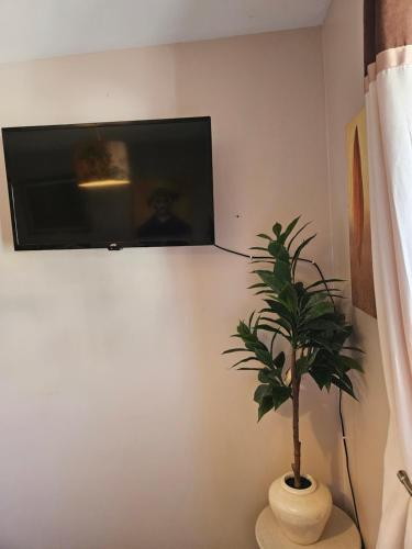 Siobhan's abode 3 Deluxe doubles and 1 king size NO PETS 4