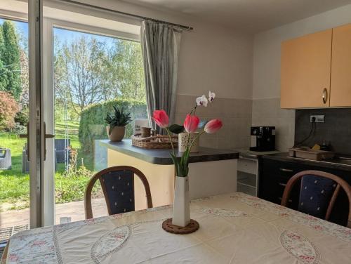 Apartmán Úlehla – khách sạn tại Mladcova