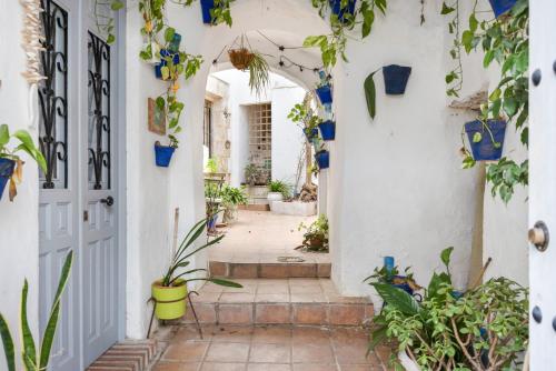 Centrico Apartamento en Vejer