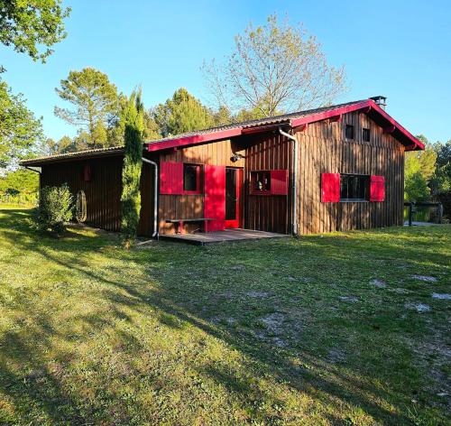 Maison bois au cœur de la forêt du bassin d'Arcachon