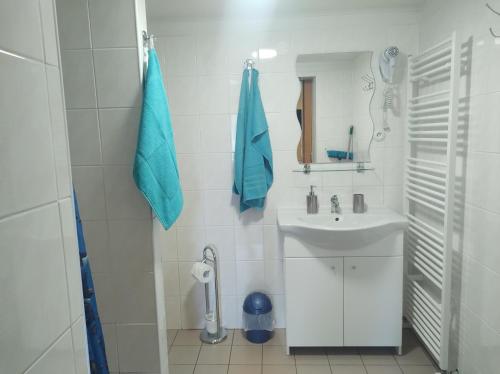 Badkamer, Studio Na pláži (Studio Na plazi) in Frymburk
