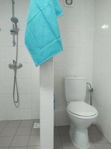 Badkamer, Studio Na pláži (Studio Na plazi) in Frymburk
