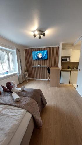 Tesis özellikleri, Modern studio apartment near the harbor and city center in Lappeenranta