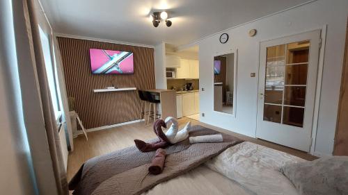 Tesis özellikleri, Modern studio apartment near the harbor and city center in Lappeenranta