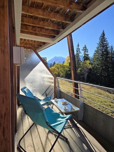 T3 au pied des pistes