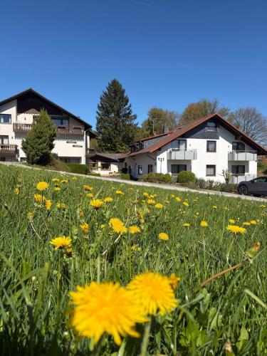 . Rhönhotel Alte Mühle