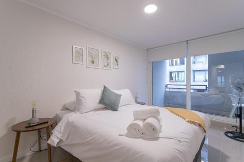 Your Urban Oasis 1BR in Downtown Santiago