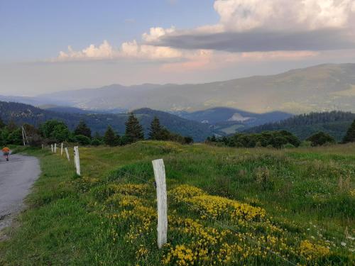 Viesnīcas āriene, Au Petit Chamois in Breitenbach-Haut-Rhin