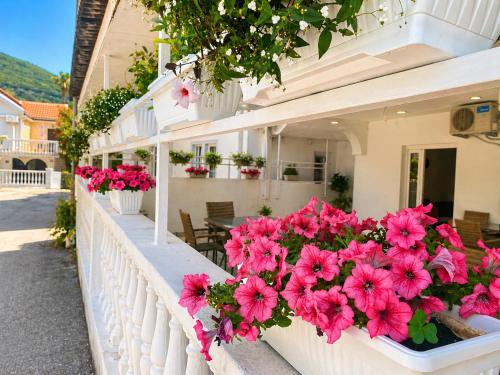 Apartments Jovana V in Budva