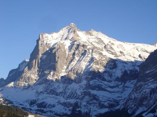 Chalet Spinne - image 10