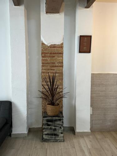 FLATS BOTANICO RUSTICo in Valencia