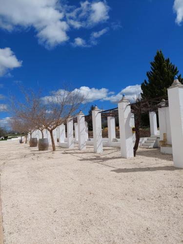 Rosie's Garden in Alfafara