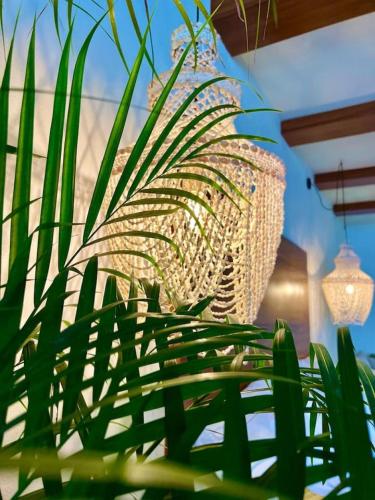 Luxury Studio 204 in Zona Romantica - image 3