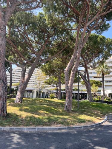 La Studette Marina 06 2