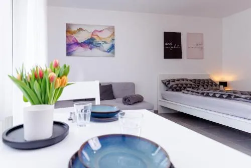 Living Lu - cosy Apartment one - Netflix - nähe Mannheim - BASF - 1 Zimmer in Ludwigshafen am Rhein, Deutschland