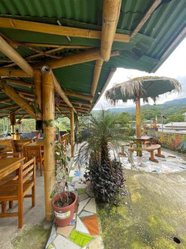 Balkon/terasa, Golden Bird, Mindo in Mindo