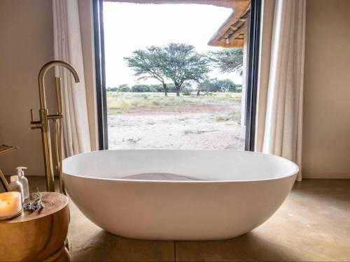 Vannas istaba, Avenir Safari Group in Dusternbrook