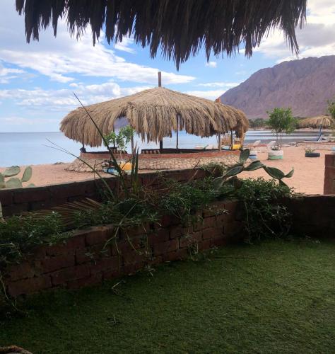 playa, Palm Valley camp in Nuweiba